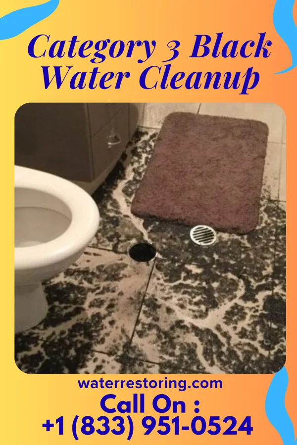 Category 3 Black Water Cleanup in Winslow, AZ